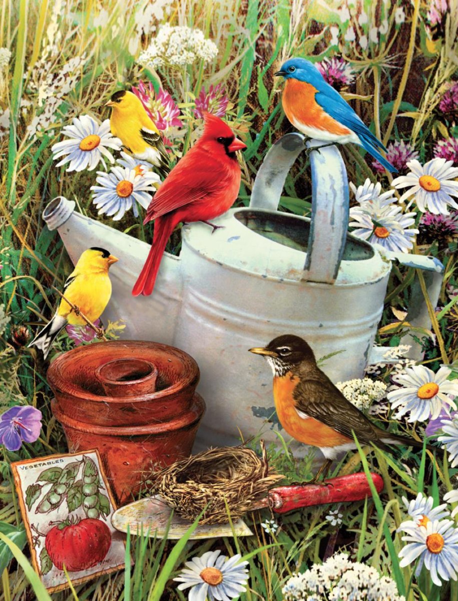 Diamond Painting Pakket Volwassenen | Diamond painting van SEOS Shop | Premium Kwaliteit Diamond Paintings | Volledig | Bloemen en Vogels | 40x50 cm |  